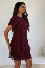 Ami Corded Lace Tulip Sleeve Mini Dress Plum