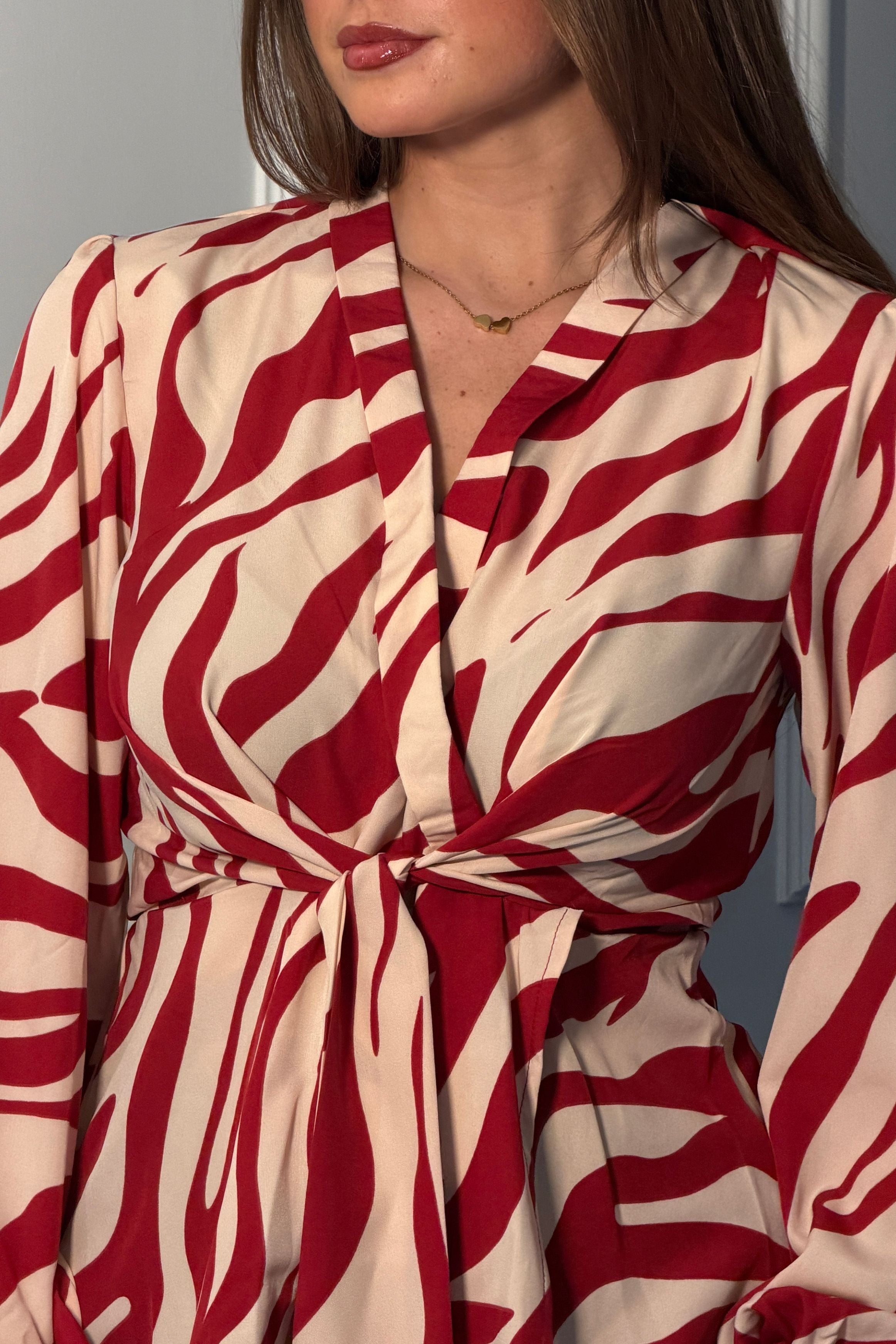 Brooke Red Animal Print Tie Front Top