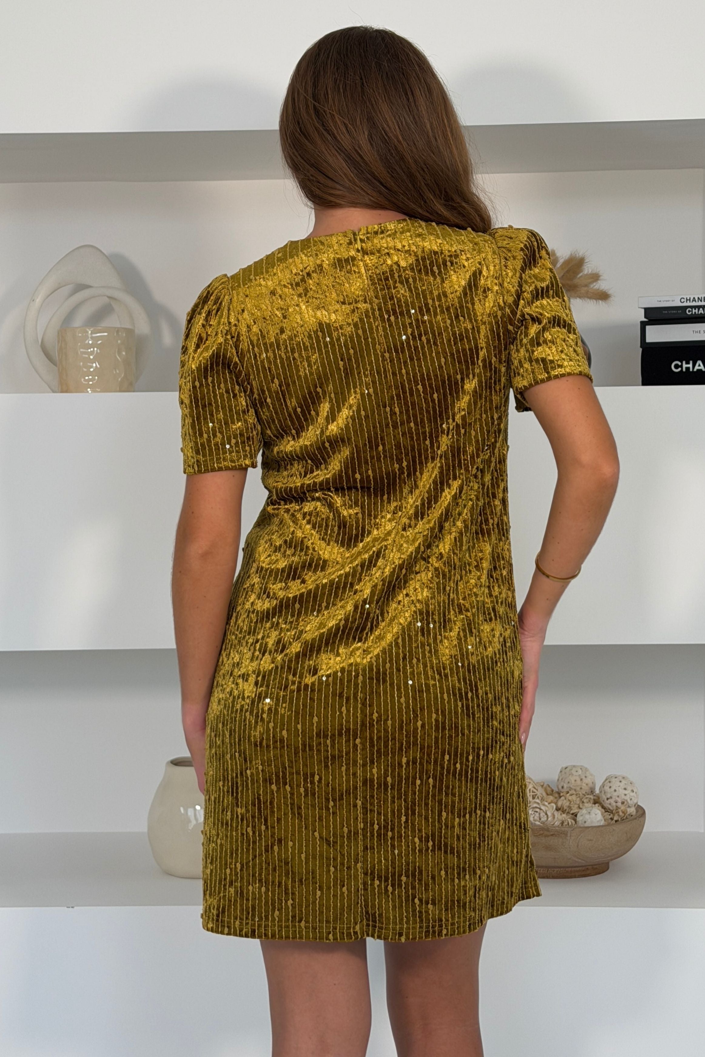 Brinley Textured Short Sleeve Mini Dress Olive Green